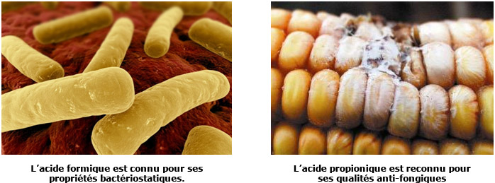acides