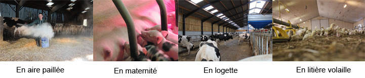 assechant de litière agriculture