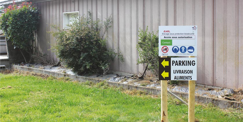 Comment s’équiper pour une biosécurité irréprochable en élevage de porcs ?