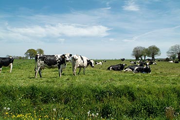 Le fonctionnement d'un parafoudre